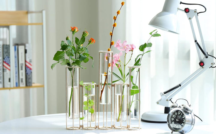 Nother Reagenzglas-Vase für Blumen, Glasvase mit Metallständer, Hydrokultur-Reagenzglasvase, 5er-Set