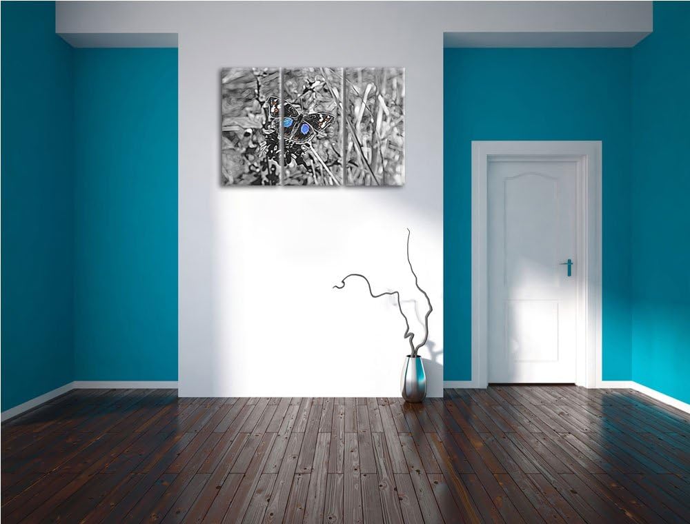 aussergewöhnlicher Schmetterling auf Grashalm schwarz/weiss Spezial 3-Teiler Leinwandbild 120x80 Bil