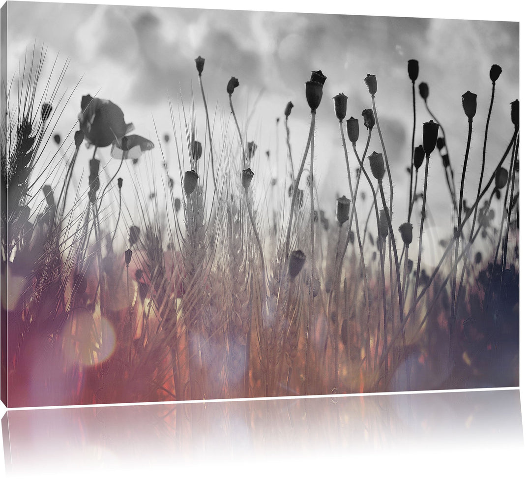 Pixxprint Mohn im Weizenfeld als Leinwandbild/Grösse: 100x70 cm/Wandbild/Kunstdruck/fertig bespannt,