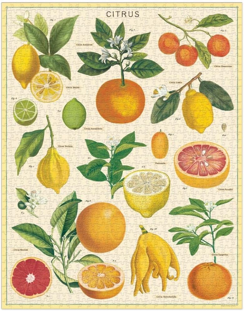 Cavallini 1000 Piece Puzzle, Citrus (PZL/Citrus)