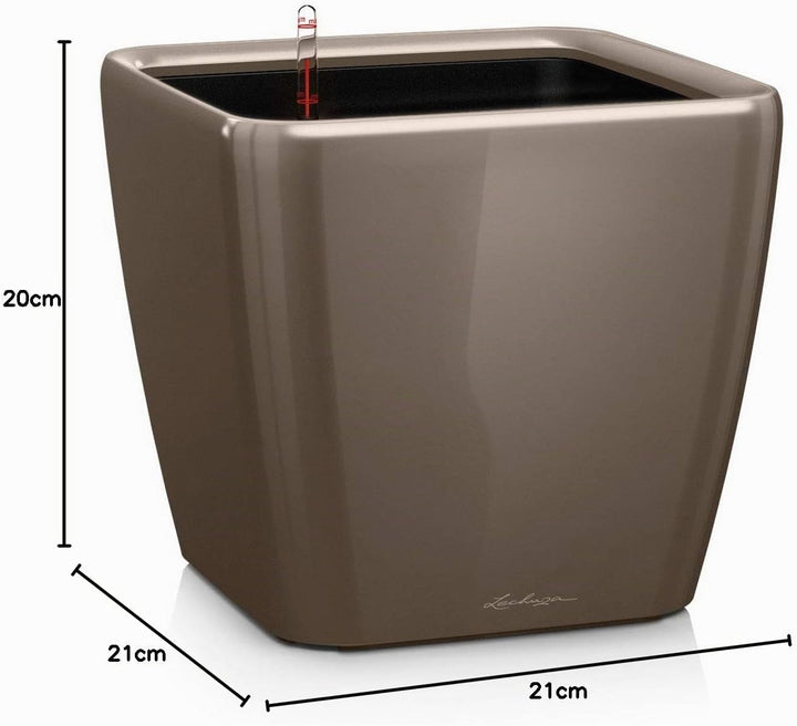 LECHUZA QUADRO Premium LS 21 taupe hochglanz 16125 22.5x22.5x20.5 cm Taupe Hochglanz, 22.5x22.5x20.5