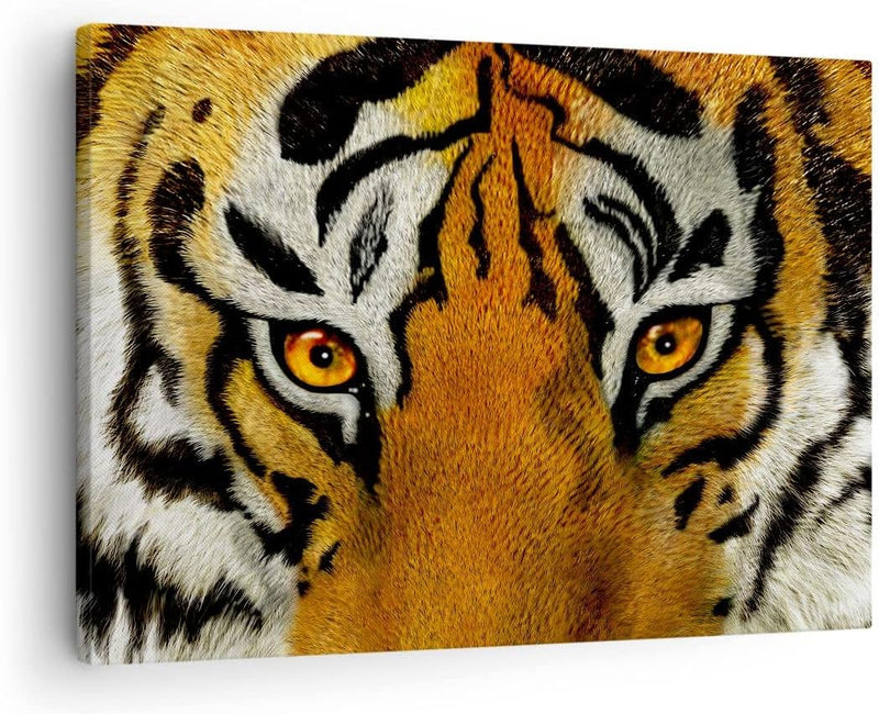 Bilder auf Leinwand Tiger Tiere Natur Safari Leinwandbild 70x50cm Wandbilder Dekoration Wohnzimmer S