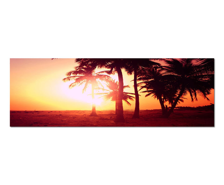 Paul Sinus Art Panoramabild auf Leinwand und Keilrahmen 150x50cm Tropen Palmen Strand Sonnenuntergan