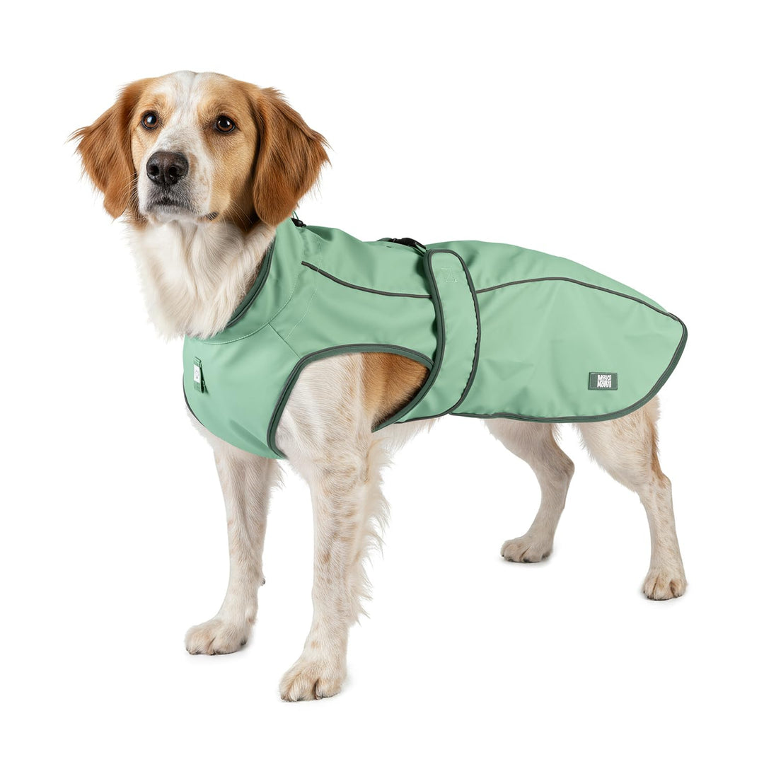 Max & Molly Regenmantel Hund wasserdicht, S, Jade, Sportliche Regenjacke für Hunde mit verstellbarem