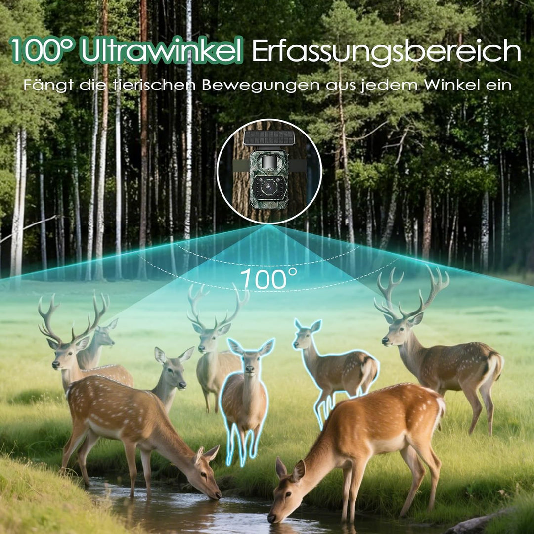 WLAN Wildkamera mit Handyübertragung App - Wildtierkamera mit Nachtsicht Bewegungsmelder Solar Wildk