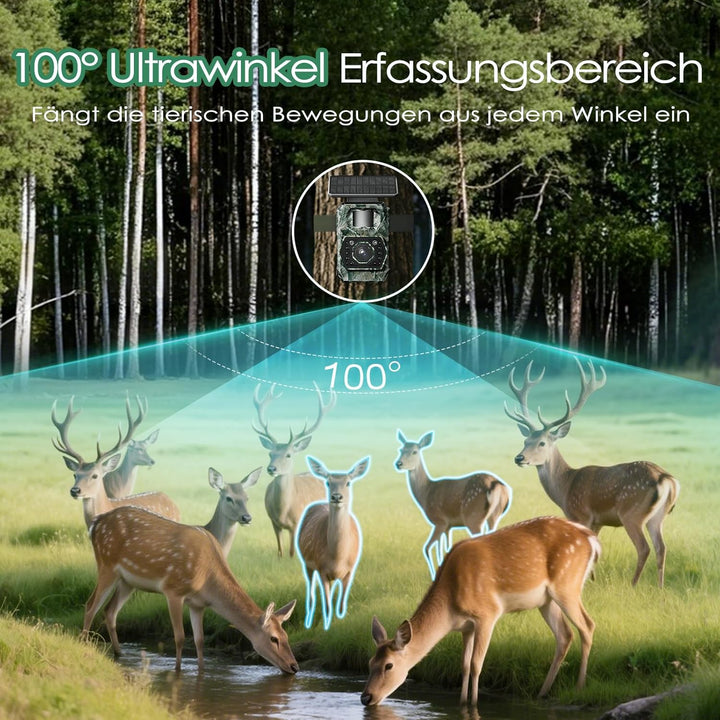 WLAN Wildkamera mit Handyübertragung App - Wildtierkamera mit Nachtsicht Bewegungsmelder Solar Wildk