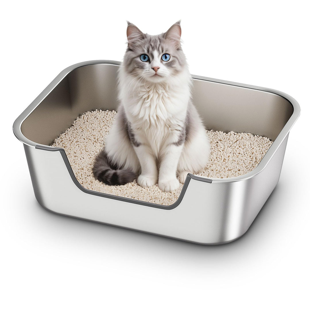 Katzenklo Edelstahl mit Niedrigem Rand, Katzentoilette Metall für Altere Oder Verletzte Katzen, Gros