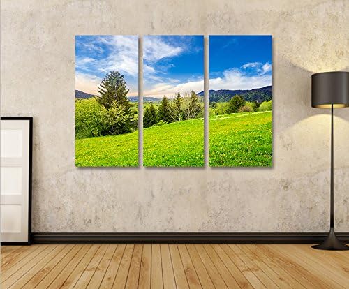 islandburner Bild Bilder auf Leinwand Wiese Bergwiese Landschaft Berge 3p XXL Poster Leinwandbild Wa