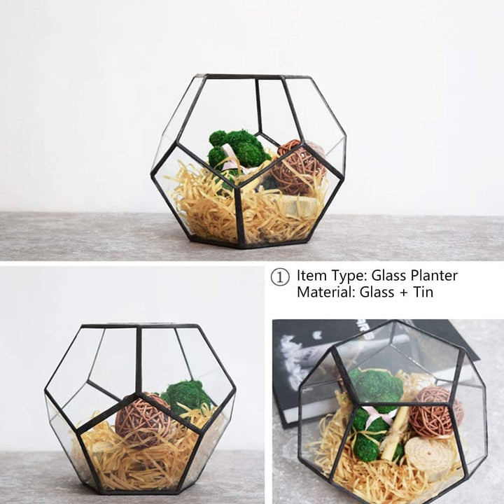 Geometrische Dekorative Terrarium Cube Geneigte Klarglas Pflanzer Tischplatte Schwarz Kleine Air Pla