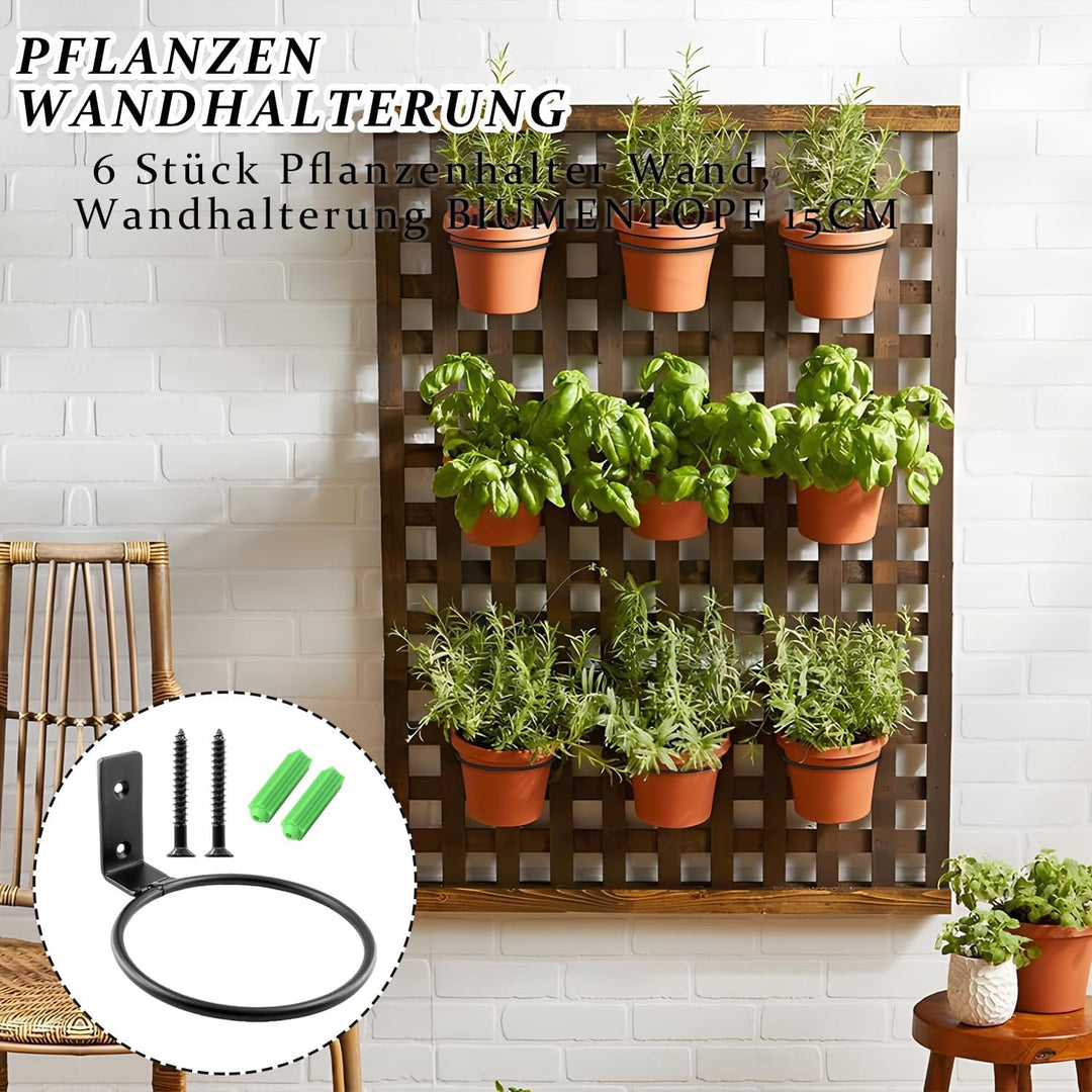 Pflanzen Wandhalterung, 6 Stück Pflanzenhalter Wand, Wandhalterung Blumentopf 15CM, Metall Ring Wand