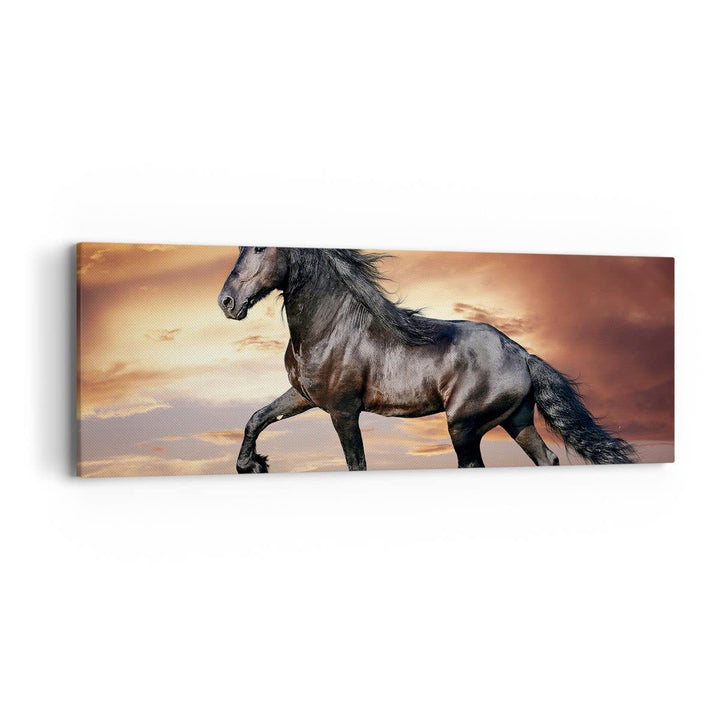Panorama Bilder auf Leinwand Pferd Tier Wiese Leinwandbild mit Rahmen 90x30cm Wandbilder Dekoration