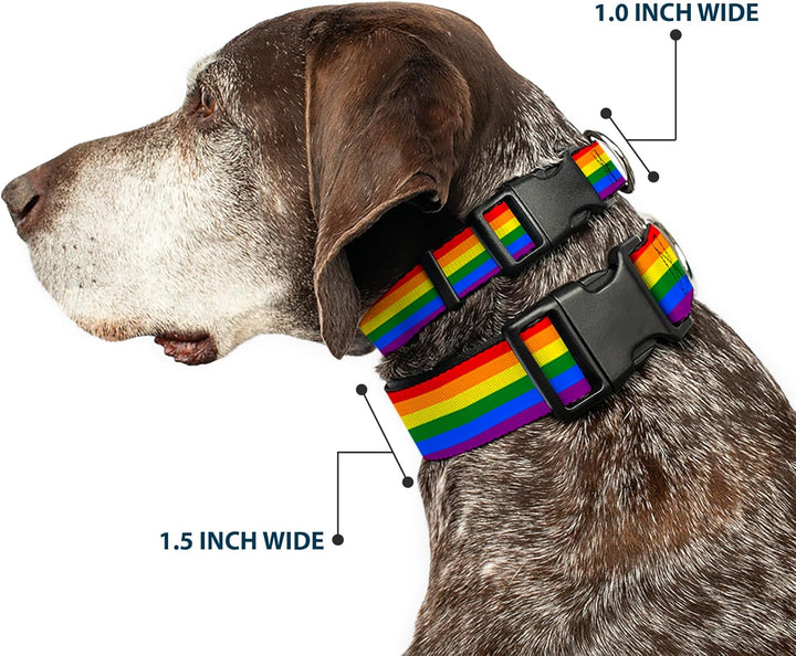 Buckle-Down PC-W30693-WM Flag Gay Pride Rainbow Plastic Clip Collar, Wide Medium/16-23 1.5" Wide - F
