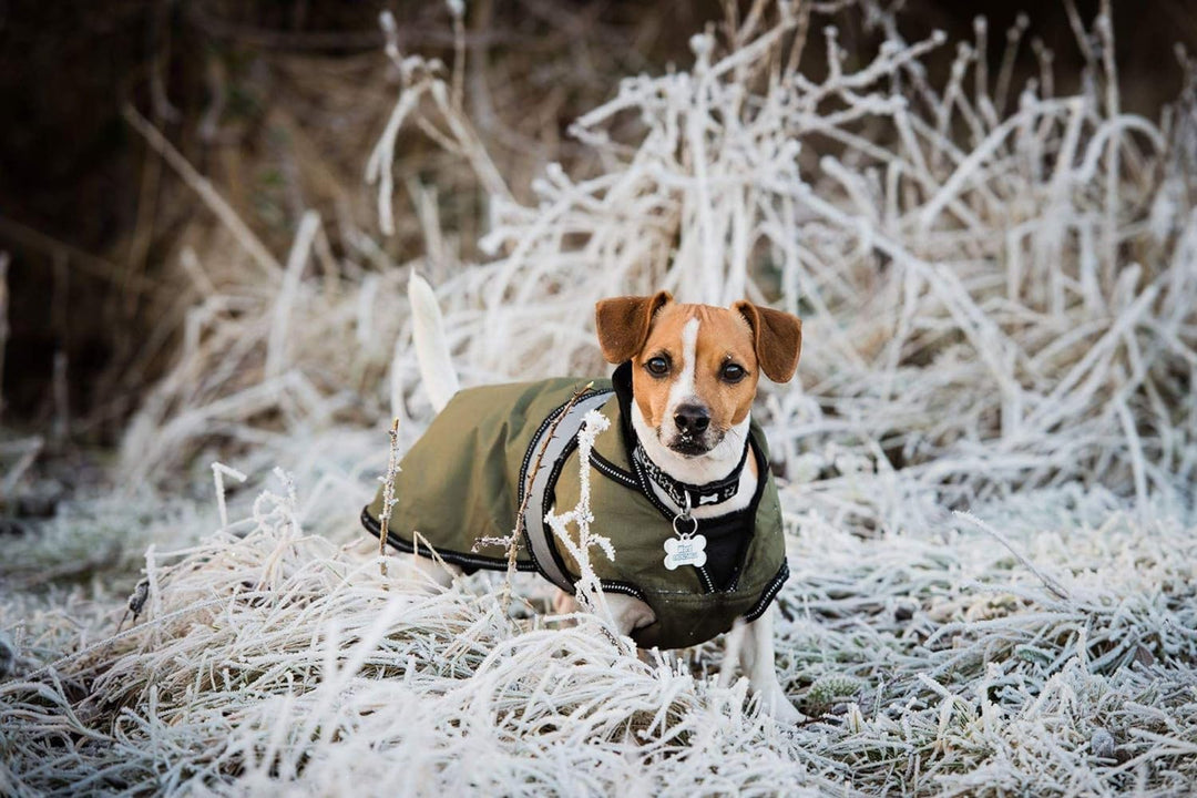 Danish Design 2-in-1 Light Reflective Dog Coat, 60 cm, grün khaki 60 cm, khaki 60 cm