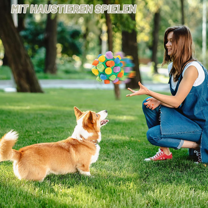 Schnüffelball für Hunde Interaktiver Schnüffelteppich Puzzle Spielzeug Tragbarer Slower Food Trainin