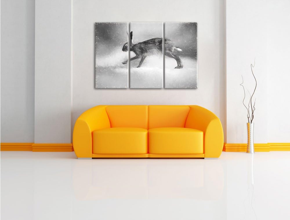 Pixxprint hoppelnder Hase als Leinwandbild/Grösse: 3 Teilig (120x80) cm/Wandbild/Kunstdruck/fertig b
