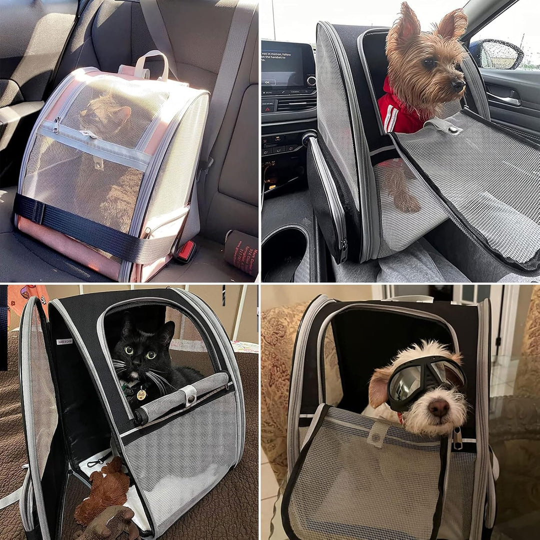 Hykiee Hunderucksack Katzenrucksack, Haustier Rucksack für Kleine Hunde Welpen bis 6kg Katzenbis 8kg
