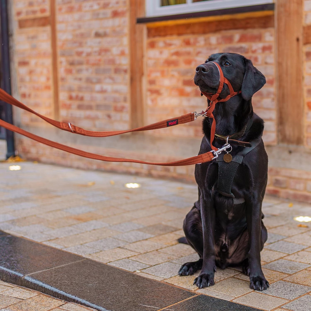 HALTI Doppelführleine - Multifunktionale Hundeleine zum Trainieren und Gassigehen mit Ihrem Hund. Le
