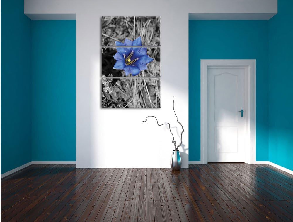 Pixxprint Süsse Blume als Leinwandbild/Grösse: 3 Teilig (120x80) / Wandbild/Kunstdruck/fertig bespan