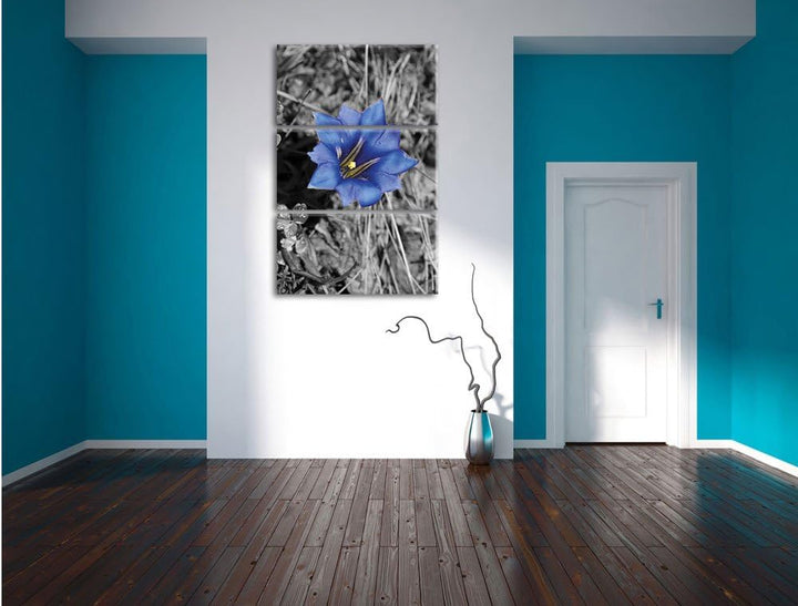 Pixxprint Süsse Blume als Leinwandbild/Grösse: 3 Teilig (120x80) / Wandbild/Kunstdruck/fertig bespan