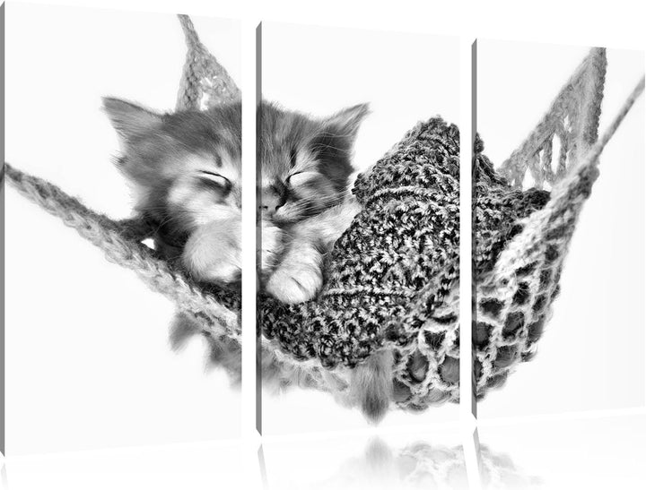 Pixxprint Monocrome, Schlafendes Katzenbaby in Hängematte 3-Teiler Leinwandbild 120x80 Bild auf Lein