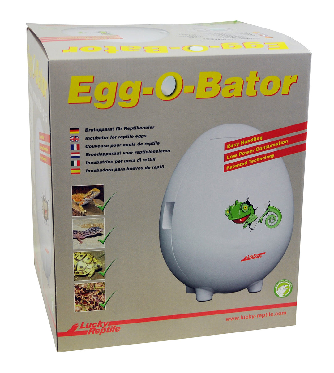 Lucky Reptile Inkubator für Reptilien Eier 4L - Reptilien Brutapparat Egg-O-Bator inkl Brutdosen - T