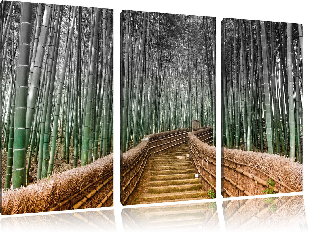 Pixxprint Kyoto Japan Bambuswald als Leinwandbild/Grösse: 3 Teilig (120x80) cm/Wandbild/Kunstdruck/f