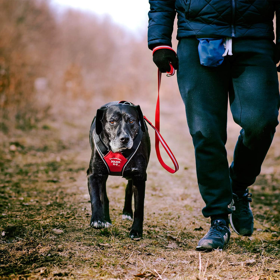 IDC Longwalk Geschirr, Rot-Grau, Grösse: M Rot-Grau M, Rot-Grau M