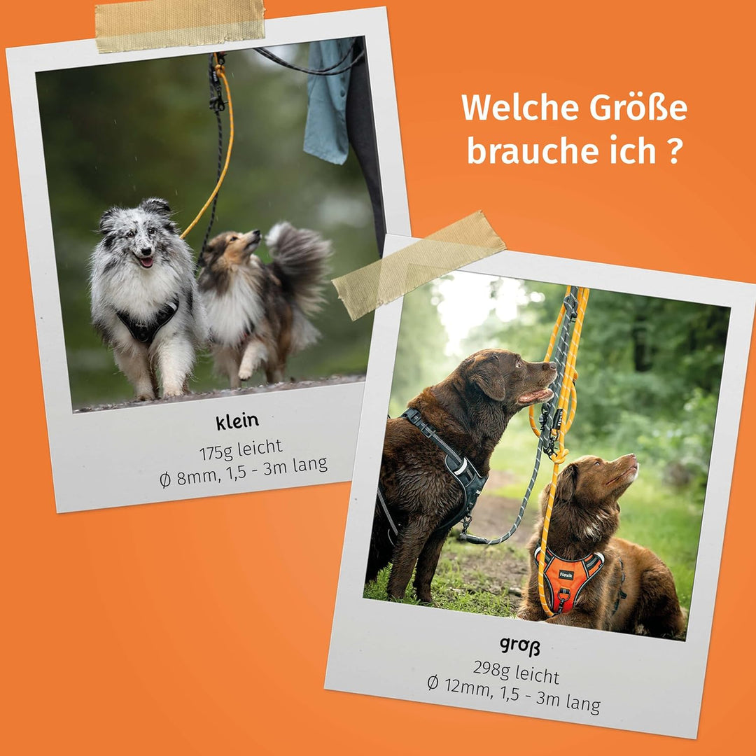 Floxik Premium Führleine Hund | Hundeleine 3m Verstellbar - Tauleine für kleine & mittelgrosse Hunde