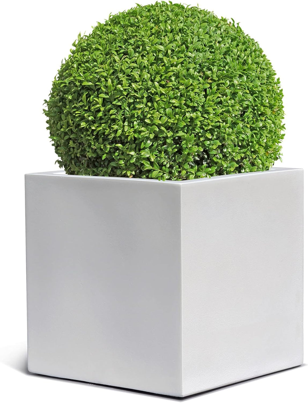 ESCHBACH® Pflanzkübel Cube 40 Weiss Quadratisch * 40 x 40 x 40 cm * 10 Jahre Garantie 40x40x40, 40x4