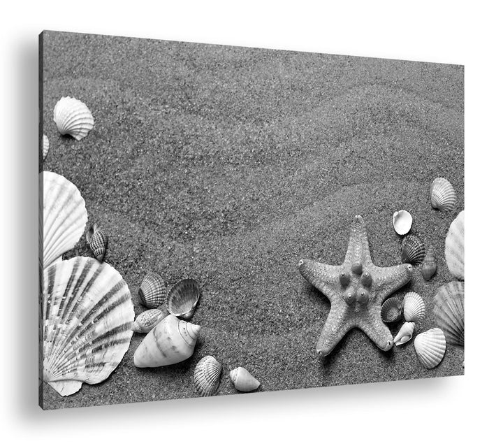deyoli Gestrandete Muscheln zwischen feinem Sandstrand Format: 120x80 als Leinwand, Effekt: Schwarz&amp;