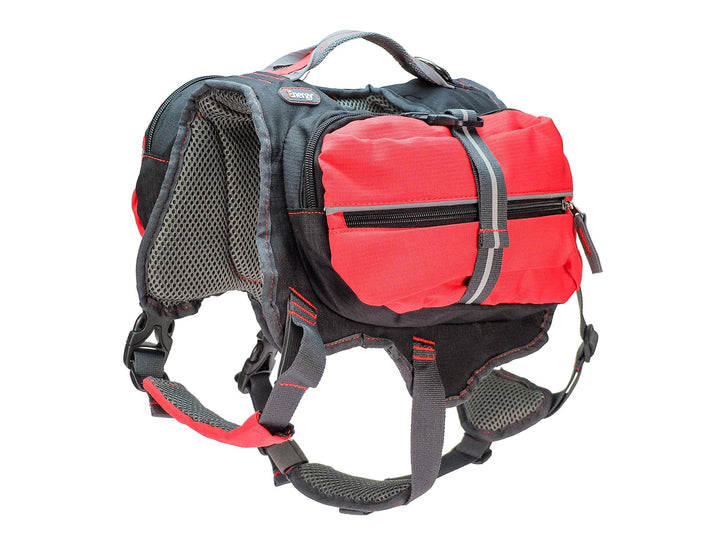 iEnergy™ MAL Hunderucksack - Wetterfester Rucksack für Hunde – Gut gepolsterter Wanderrucksack (Gros