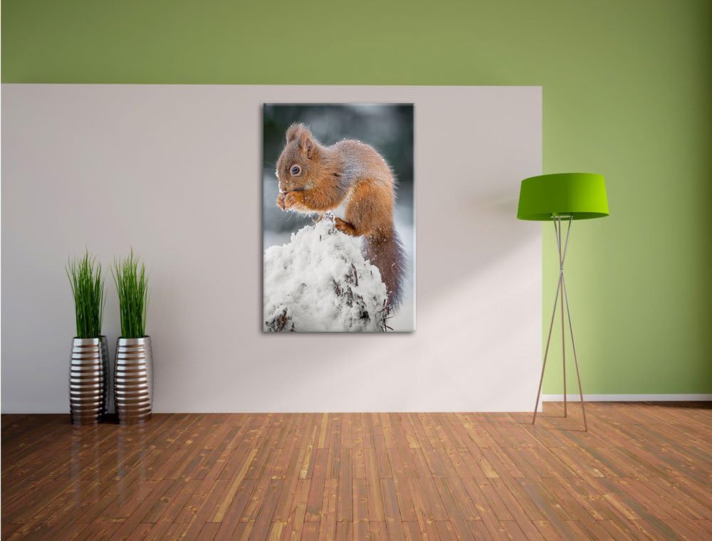 Pixxprint Kleines Eichhörnchen im Winter als Leinwandbild/Grösse: 100x70 cm/Wandbild/Kunstdruck/fert