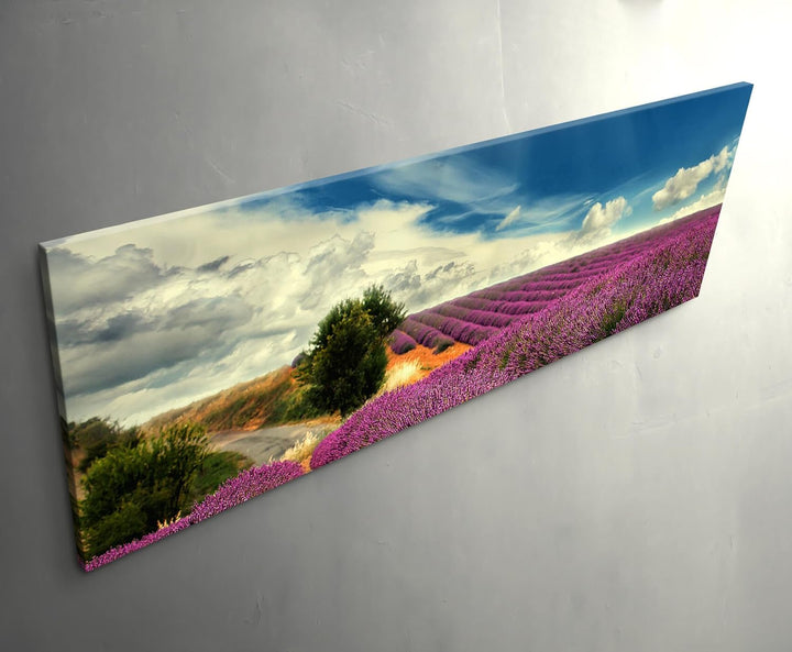 Paul Sinus Art Leinwandbilder | Bilder Leinwand 150x50cm Lavendel Felder bei blauem Himmel, 150x50cm