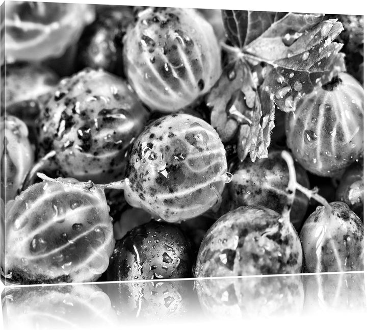 Pixxprint Monocrome, Leckere Stachelbeeren, Format: 100x70 auf Leinwand, riesige Bilder fertig gerah