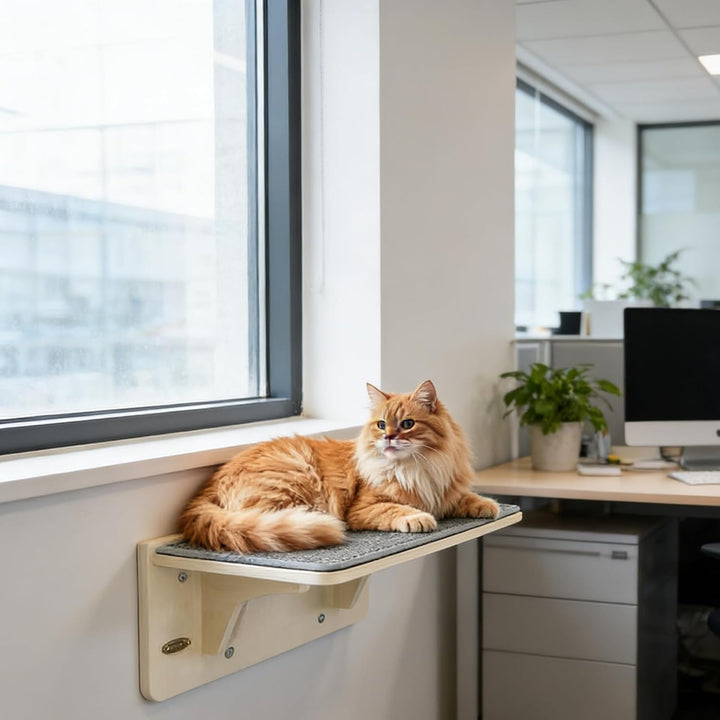 Katzen Sitzplatz | Katzensitz Mit Holz Saugnapf Für Kätzchen,Kletterplatz Am Für Tiere - Für Zuhause