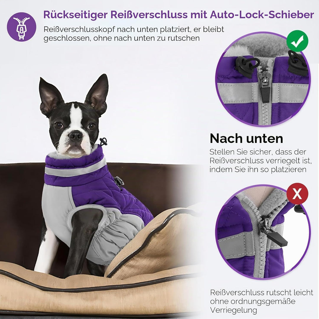 AOFITEE Hundejacke Kleine Hunde, Wasserdicht Hunde Wintermantel Warm Hundemantel mit Geschirr, Rollk
