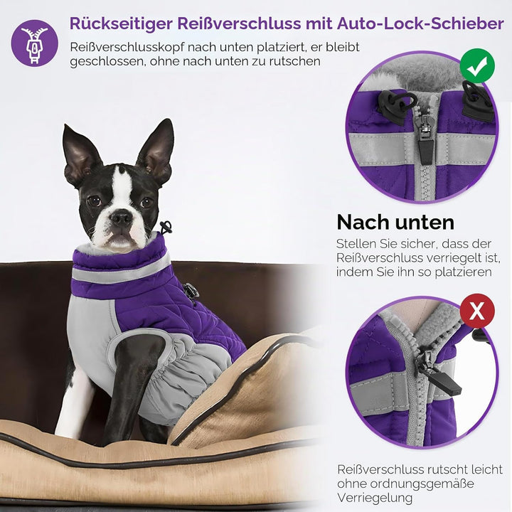 AOFITEE Hundejacke Kleine Hunde, Wasserdicht Hunde Wintermantel Warm Hundemantel mit Geschirr, Rollk
