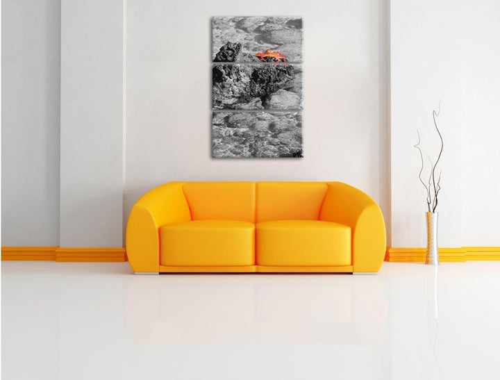 Pixxprint rote Krabbe auf Riff als Leinwandbild/Grösse: 3 Teilig (120x80) cm/Wandbild/Kunstdruck/fer