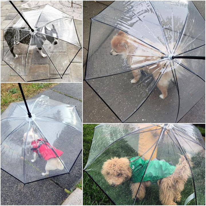 Enjoying Hunde Regenschirm für Kleine Hunde, Kleiner Hundeschirm mit Leine, Regenschirm für Hunde Sp