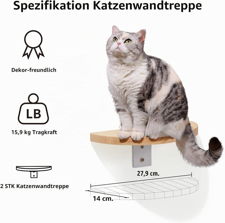 FUKUMARU Kletterwand Katzen, Transparente Raumkapsel mit 2 Pedalen als Katzenwandmöbel Set, aus Mass