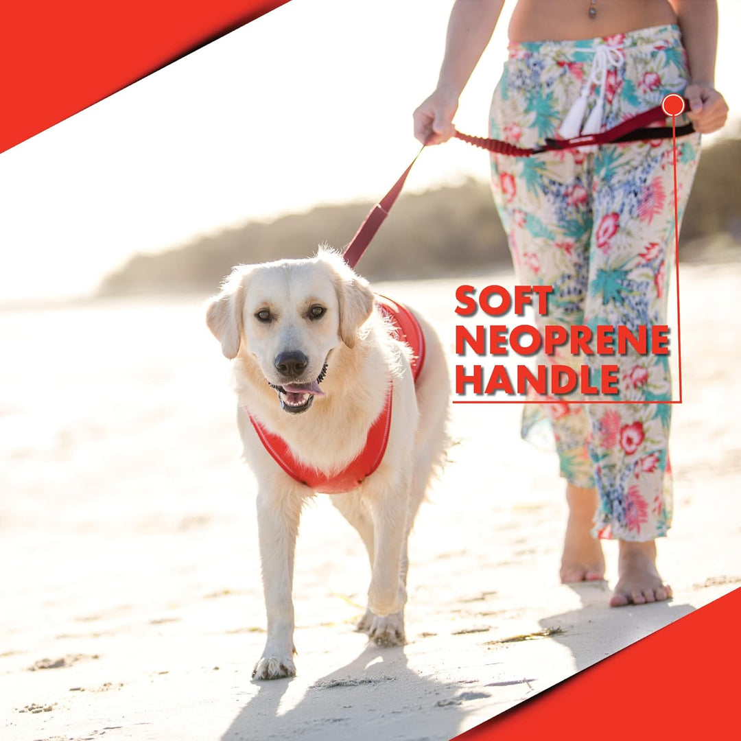 EzyDog Elastische Hundeleine für grosse und mittelgrosse Hunde - Elastische Leine mit elastischem Dä