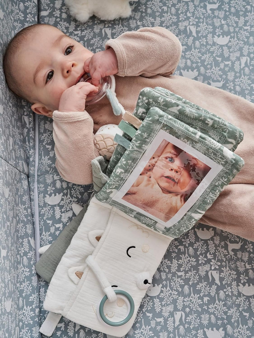 VERTBAUDET Baby Fotobuch WALDSPAZIERGANG salbeigrün, VERT