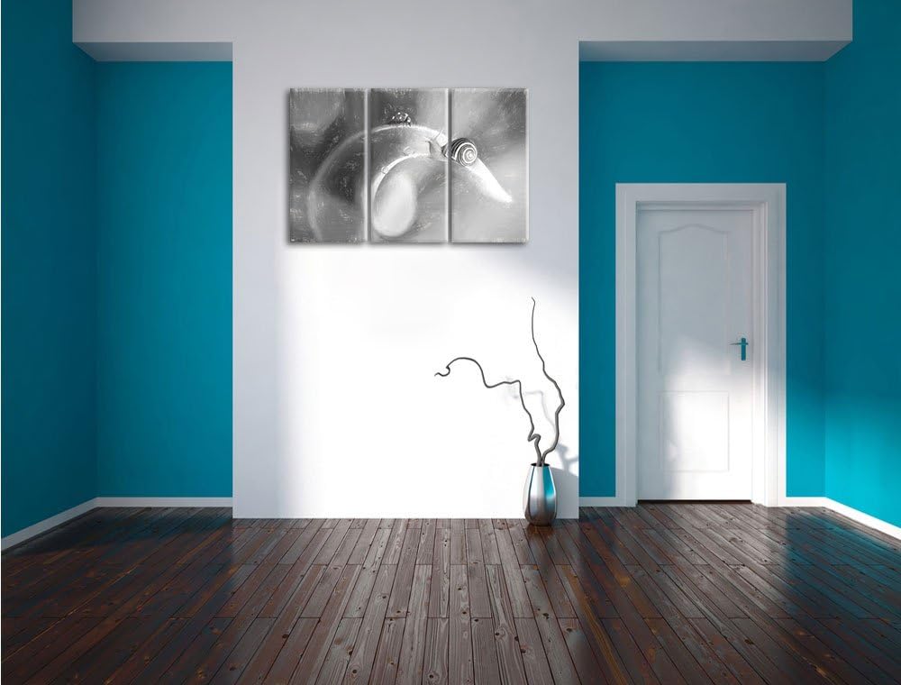 Pixxprint eine Schnecke und Marienkäfer auf Einer Pflanze Kunst Kohle Effekt 3-Teiler Leinwandbild 1