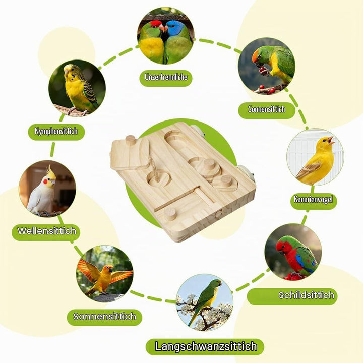 Vögel Futtersuchpuzzle Holz, Interaktives Sittiche Futterspielzeug mit Lernfunktion zum Trainieren u