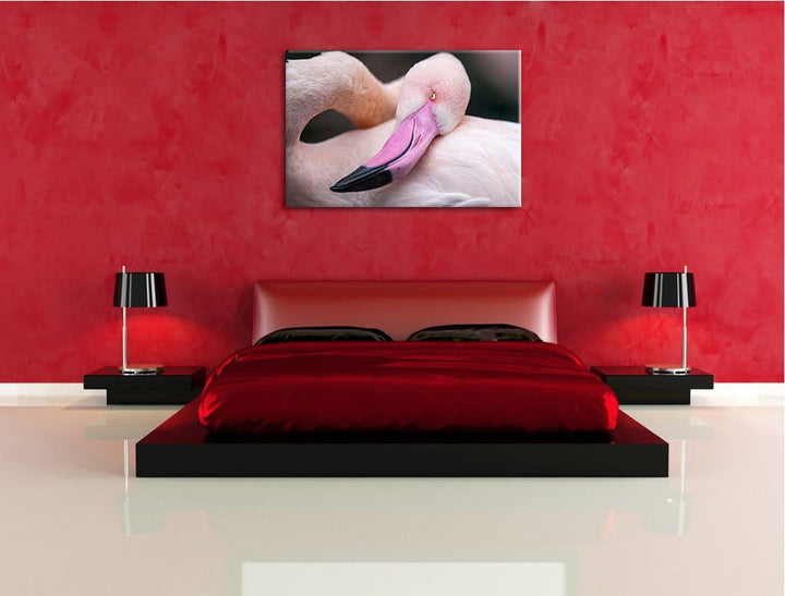 Pixxprint schöner Flamingo auf Leinwand, XXL riesige Bilder fertig gerahmt mit Keilrahmen, Kunstdruc