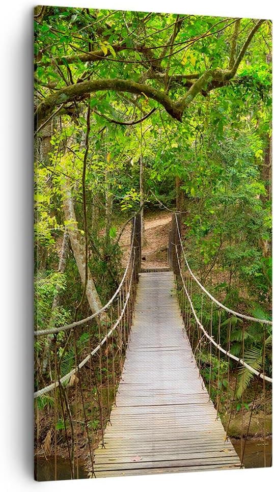 Bilder auf Leinwand Fussgängerbrücke Wald Abenteuer Leinwandbild mit Rahmen 45x80cm Wandbilder Dekor