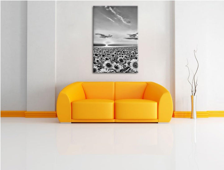 Pixxprint Monocrome, Sonnenuntergang am Sonnenblumenfeld, Format: 100x70 auf Leinwand, XXL riesige B