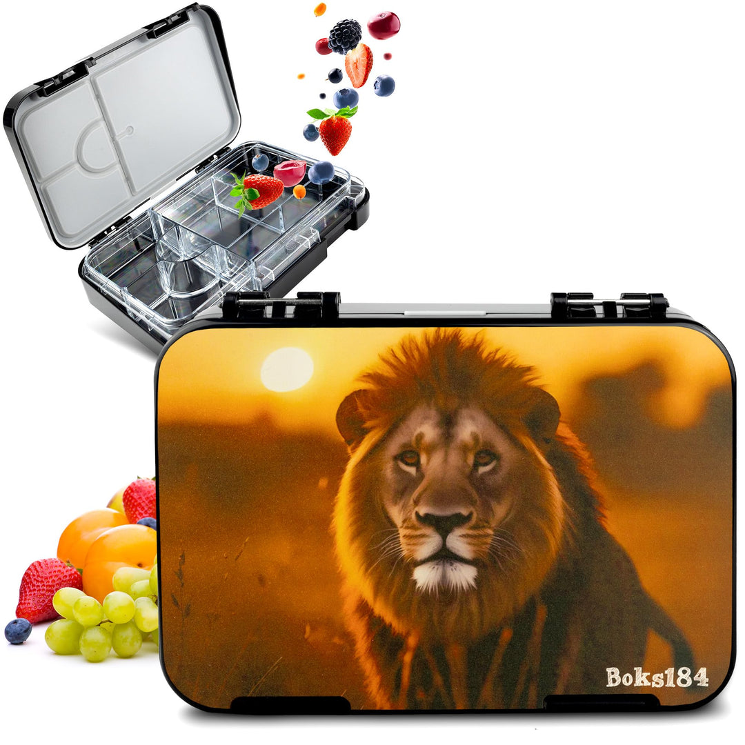Brotdose Kinder mit Fächern - Bento Box auslaufsicher - robust - BPA Frei Lunchbox - Brotbox für Sch