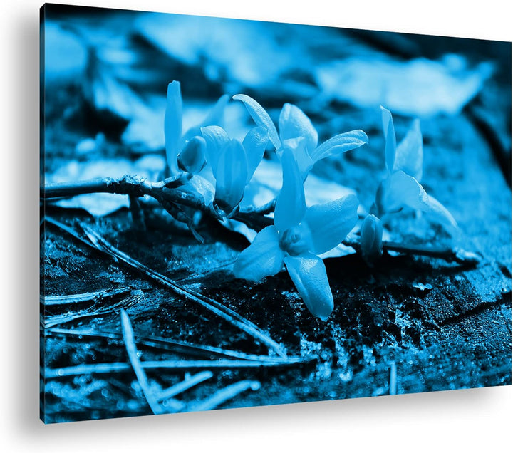 deyoli blühender Osterstrauch Format 80x60 Effekt: Monocrome Blau als Leinwandbild, Motiv fertig ger