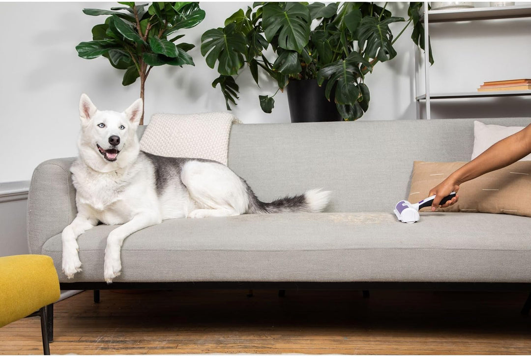 BLACK+DECKER HMSCT0001-XJ Tierhaarentferner, Rolle, Hunde- und Katzenhaare